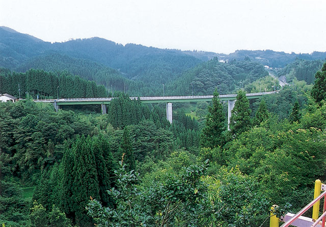 蘇望橋